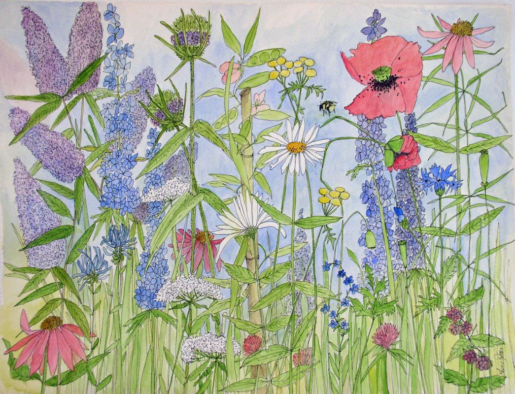 wildflower garden watercolor ink by laurie rohner