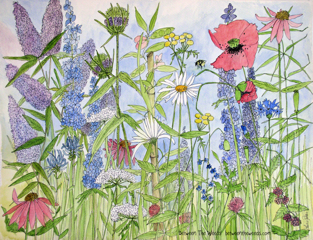 Large flower watercolor illustration of wildflowers and garden flower