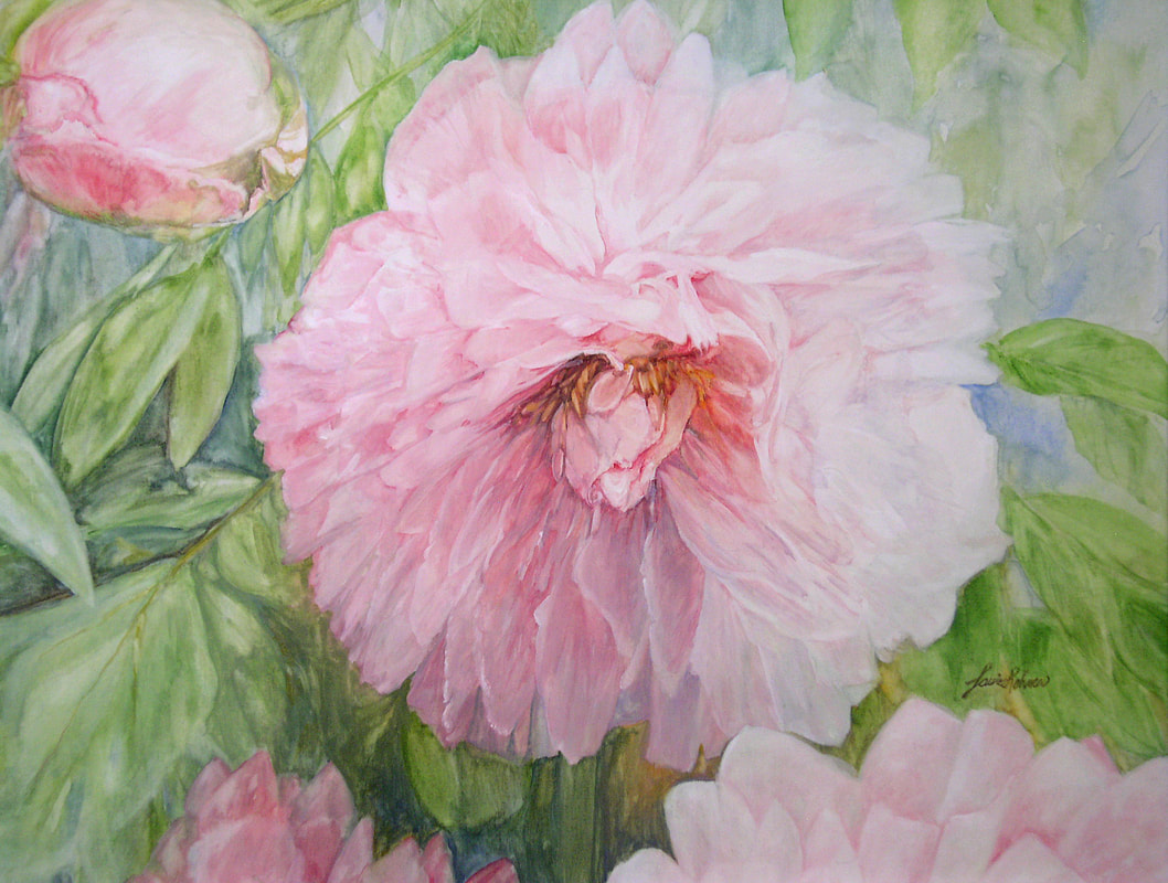 watercolor pink peonies by laurie rohner